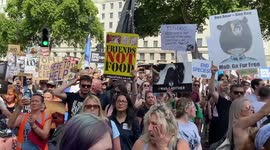 Activists gather outside Downing St during the National Animal Rights March, London, UK