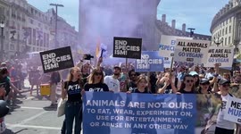 Actvists in Piccadilly Circus during the National Animal Rights March, London, UK