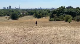 Parched Primrose Hill amidst heatwaves and drought in London, UK