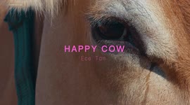 RAW VIDEO: Design Graduate Creates 'Cow Sex Toys' To Highlight Farming Conditions