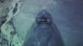 RAW VIDEO: Boom Supersonic Unveil New Designs For Overture - The World's Fastest Airliner 2/4