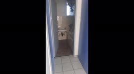 Inspection before renovations