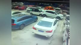 Mobility scooter crashes into parked car after dog accidentally launches it in China