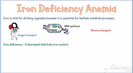 Iron Deficiency Anemia - Signs & Symptoms, Causes, And Complications
