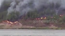 Forest fire destroys 40 hectares of land in Indonesia