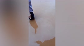 Family's home flooded amid heavy rain in South Korea