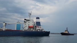 Ship carrying Ukrainian grain leaves port of Odessa