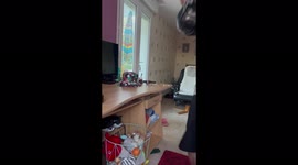'Parents test their baby daughter's intelligence and are astounded by the results
'
