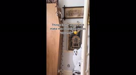 SPOOKY! Woman decorates home with used coffins, human hair and scary dolls