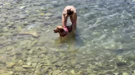 Cute dog learns to swim in the sea