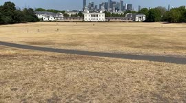 Parched Greenwich Park as drought hits London and the rest of the UK