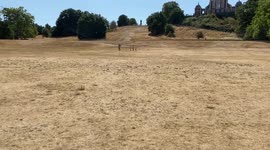 Parched Greenwich Park as drought hits London and the rest of the UK