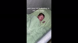 'My cat is plotting to kill my baby': Leicester mum, 19, leaves TikTok in stitches sharing hilarious video of sinister feline