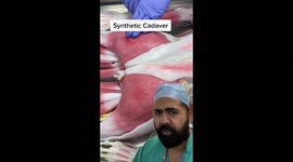 'Forbidden sushi': TikTok users shocked by 'juicy' ultra-realistic fake CORPSES that doctors work on