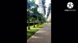 Kandy, peradeniya Royal Botanical Garden, Srilanka