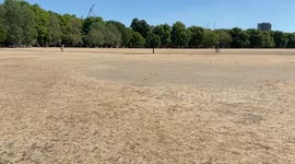 Hyde Park resembles a desert as severe drought and heatwaves hit London.