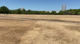 Hyde Park resembles a desert as severe drought and heatwaves hit London.