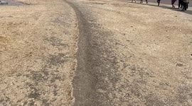 Parched Hyde Park Corner as severe drought and heatwaves hit London.