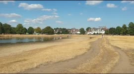 Scenes from a bone dry Wimbledon Common as Thames Water expects to bring in hosepipe ban in weeks