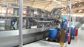 Modern Fresh Milk Production Line In Zhangye, Gansu, China