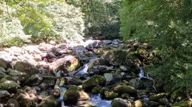 Drying up River Plym on Dartmoor National Park,  Animals like Otters kingfisher and other wildlife needs this river which they relie on for food