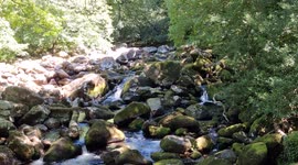 UK heatwave: River Plym on Dartmoor National Park is 'little more than a trickle,' say locals - and this threatens wildlife