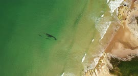 Drone Captures Ruins Of Sunken Ship Off The Coast of UK During Great Weather