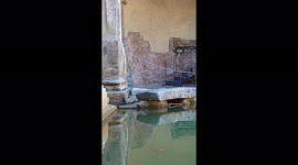 A pigeon takes flight after bathing in the thermal waters of the ancient Great Bath of Aquae Sulis in Bath, Somerset, UK