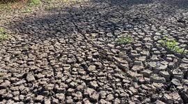 Large pond dries out completely in a London park as heatwaves and drought hit the capital