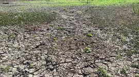 Large pond dries out completely in a London park as heatwaves and drought hit the capital