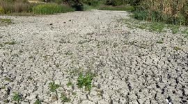 Large pond dries out completely in a London park as heatwaves and drought hit the capital