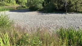 Large pond dries out completely in a London park as heatwaves and drought hit the capital