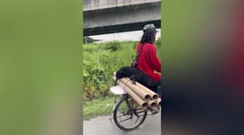 Adorable pet dog relaxes on bicycle while his owner pedals away