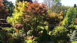 Couple with UK's best garden share tips to help keep gardens alive as hosepipe ban looms