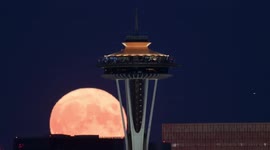 Sturgeon Supermoon Lights Up Night Skies 2