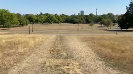 London's Primrose Hill parched as droughts declared across UK