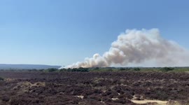 UK: Two Fires Break Out In Rural Dorset 2