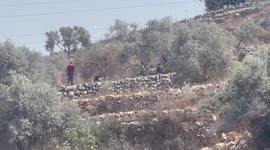 Palestinian protesters clash with Israeli forces during a demonstration against settlements in the village of Beita