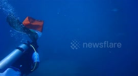Ahead of the Indian's 75 th independence day a diving team hoisted flag  75 feet under water in South India.