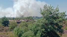 Massive heath fire near Studland, Dorset UK causing chaos for visitors to one of the UK's most beautiful beaches.