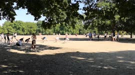 A strange game in Hyde Park involving people running on all fours
