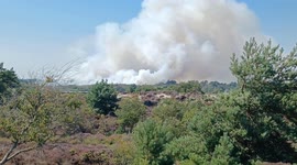 Massive heath fire near Studland, Dorset UK causes chaos