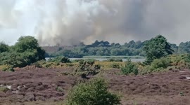 Massive heath fire near Studland, Dorset UK causing chaos for visitors to one of the UK's most beautiful beaches.