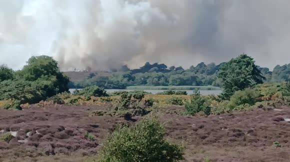 Massive heath fire near Studland, Dorset UK causing chaos for visitors to one of the UK's most beautiful beaches.