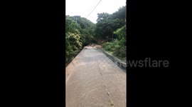 Japan: Typhoon Meari Makes Landfall, Bringing More Rains And Landslides In Shizuoka 2