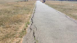 Sorching Heat Has Cracked The Public Footpath At A london Park