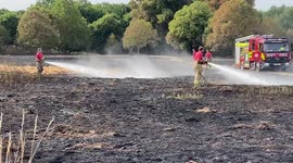 London Fire Brigade battles wildfire in Enfield