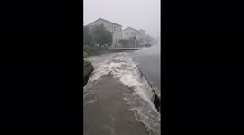 Japan: Typhoon Meari Makes Landfall, Bringing Strong Winds And Heavy Rains 2