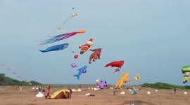 Kites of all shapes and sizes seen floating at festival in southern India