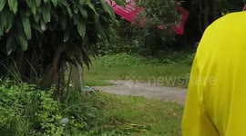 Mother dog with head stuck inside plastic jar for 20 hours rescued in Thailand